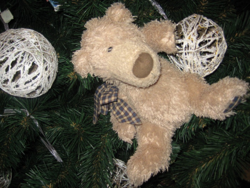 Даша Даша фотография #4