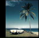 Фотография Nina Nina