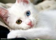 Фотография Карецкой Ольги