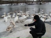 Мішка Костів фотография #12 (источник - https://vk.com/id100216184)