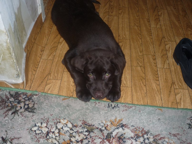 Кирилл Озолин фотография #44