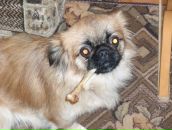 Олексій Степчук фотография #18 (источник - https://vk.com/id40079081)