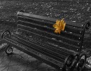 Фотография Муллаяновой Ирины