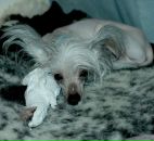 Фотография Лиманюк Виктории