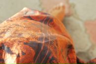 Фотография Гаврилиной Юлии