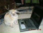 Фотография Плешкан Николай