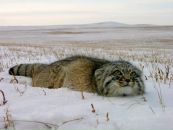 Фотография Устинова Игоря