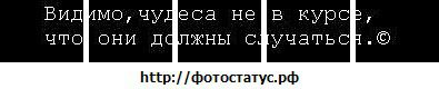 Вадим Вітовщик фотография #24 (источник - https://vk.com/id120969392)