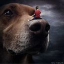 Фотография Степиной Нелли