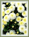 Роза Κрасильникова фотография #35 (источник - https://vk.com/id153335491)