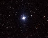 Фотография Стулова Игоря