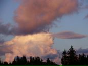 Свєта Галько фотография #13 (источник - https://vk.com/id78805469)