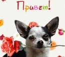 Еріка Попович фотография #5 (источник - https://vk.com/id71944308)