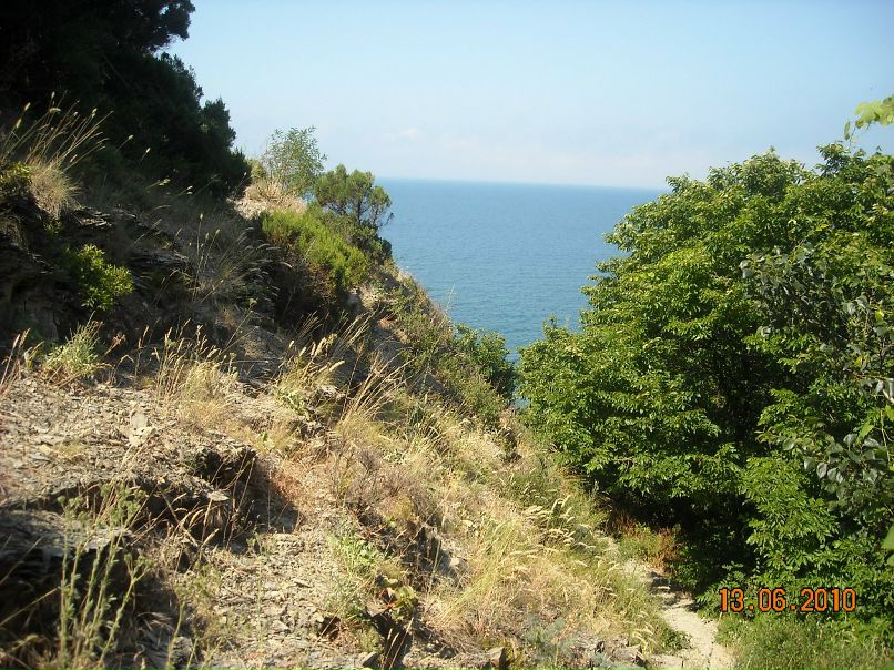 Дмитрий Коваленко фотография #15