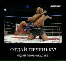Фотография Александр Петров