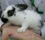 Фотография Журавлевой Ольги