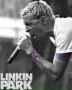 Фотография Turnikman Link