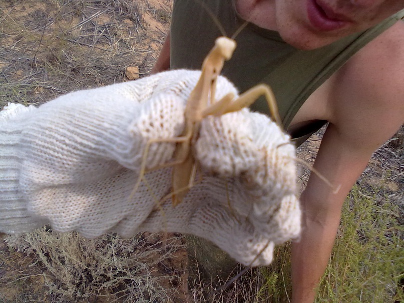 Сергей Бех фотография #43