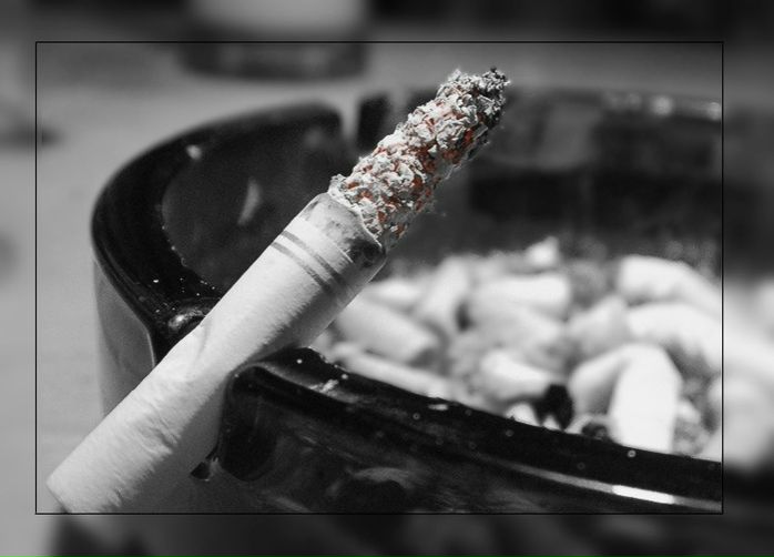 Александр Соценко фото №16