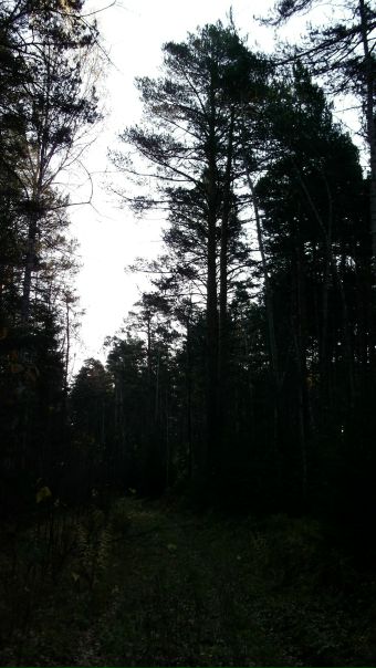 Александр Бабенко фото №41