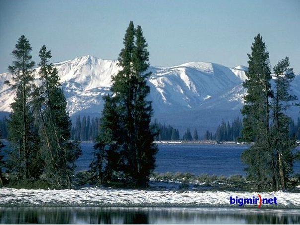 Вася Ковальчук фото №36