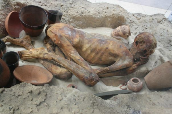 Дмитрий Гудков фото №26