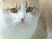 Фотография Кечиной Марии