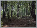 Віталь Вольський фотография #11 (источник - https://vk.com/id32761106)