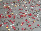 Фотография Осиповой Ольги