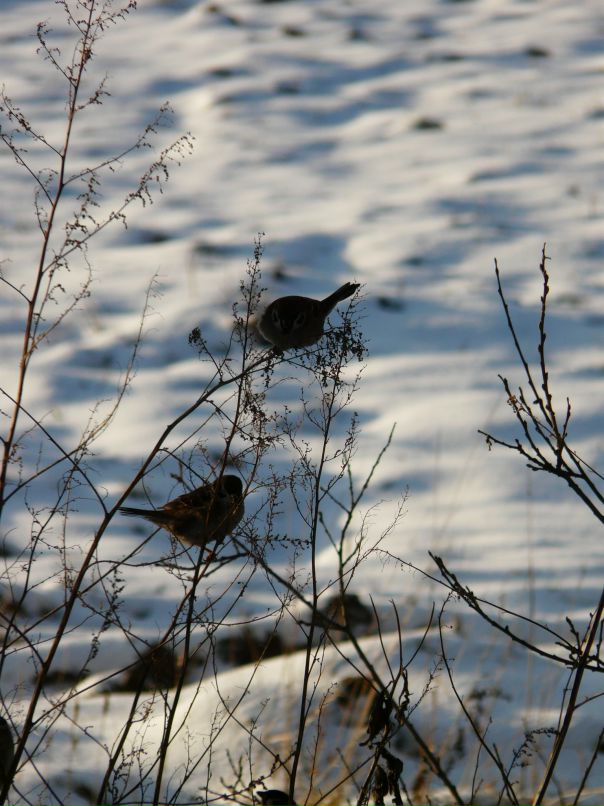 Александр Лебедев фотография #18