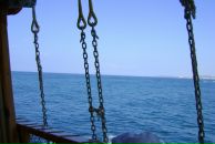 Princessa София фотография #28 (источник - https://vk.com/id852922)