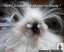 Діана Пинчук фотография #21 (источник - https://vk.com/id82755122)