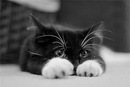 Фотография Климантовой Виктории