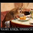 Фотография Иваныча Николая