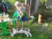 Фотография  