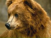 Фотография Андрианова Максима