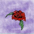 Фотография Ворониной Ани