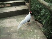 Клевый Парень фотография #37 (источник - https://vk.com/id391001)