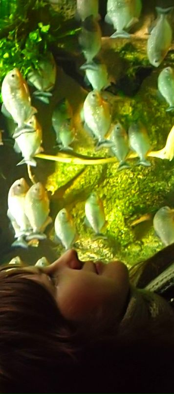 Дарья Кобелева фотография #49