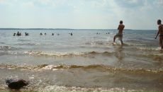 Фотография Шишкина Никиты