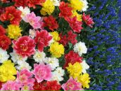 Фотография Филатовой Анны