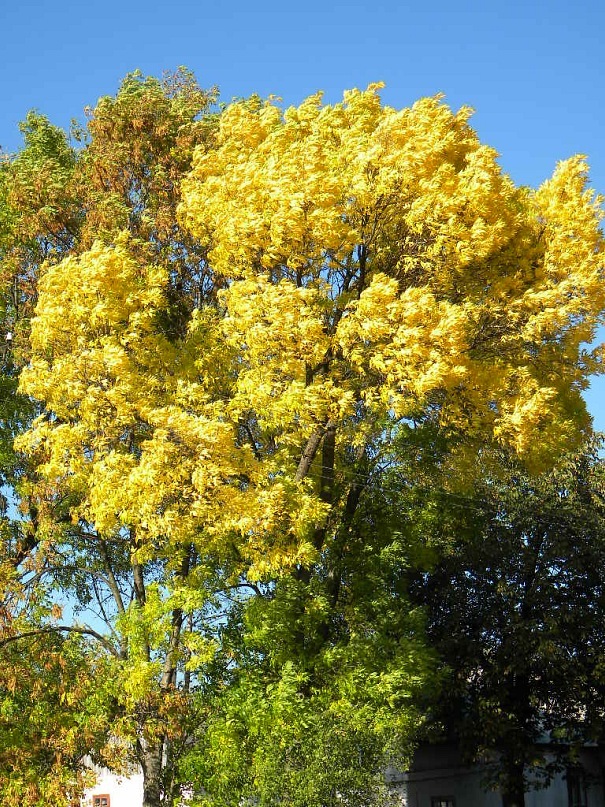 Ігор Гуран фотография #25