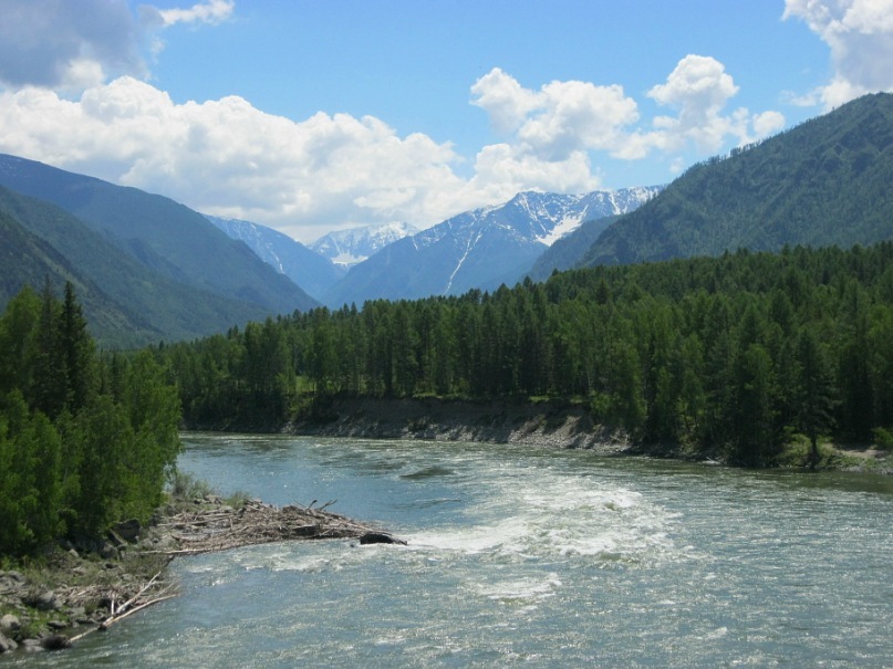 Антон Трушников фотография #48