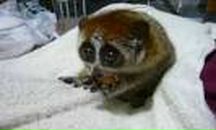 Фотография Бабаевой Натальи