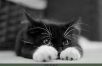 Фотография Корсаковой Марии