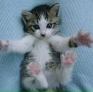 Фотография Корольковой Натальи