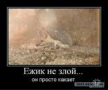 Сашок Мельніченко фотография #49 (источник - https://vk.com/id29887217)