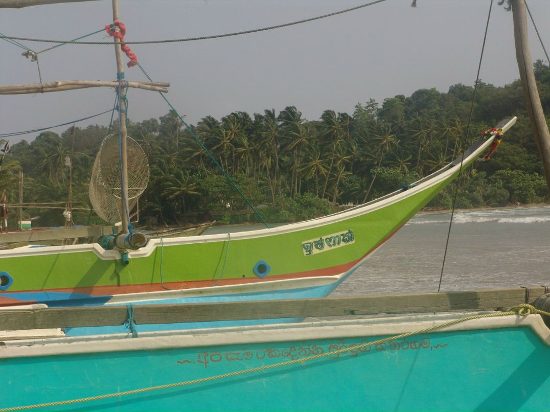 Эльдар Лойд фотография #21