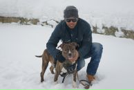 Фотография Calvados Jessi