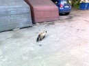 Вовік Морзік фотография #5 (источник - https://vk.com/id23592091)